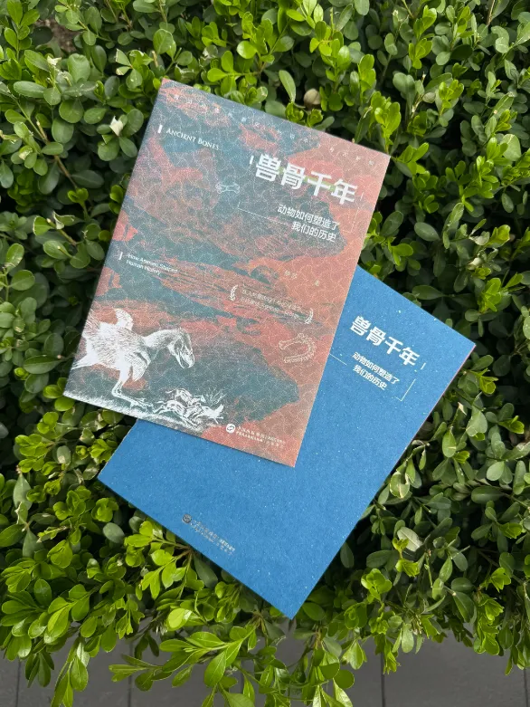 图片27.png